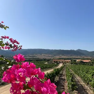 Campesi Casale Tra Le Vigne Bauernhof Aglientu